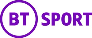 ecommerce-spain15-300x123-1.webp